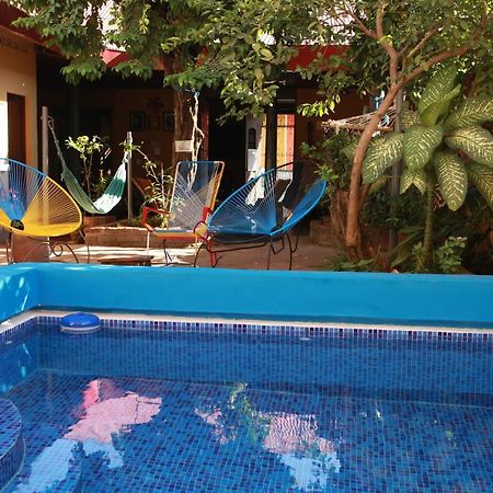 Hostal La Tortuga Booluda León Extérieur photo