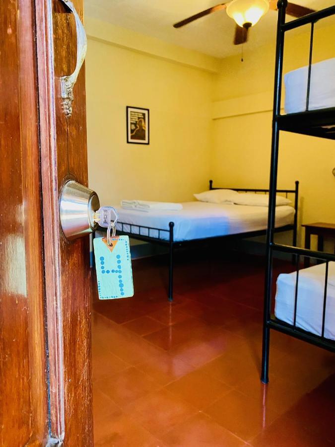 Hostal La Tortuga Booluda León Extérieur photo