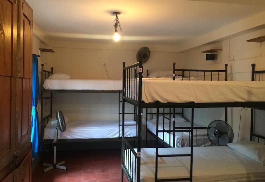 Hostal La Tortuga Booluda León Extérieur photo