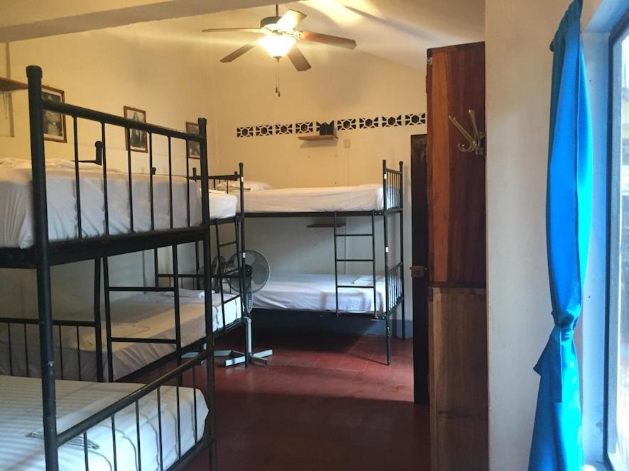 Hostal La Tortuga Booluda León Extérieur photo